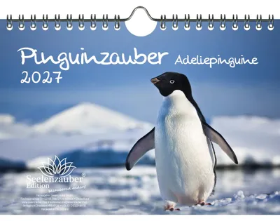 Produktbild von Pinguinzauber Adeliepinguine DIN A5 Kalender für 2027 Pinguin - Seelenzauber