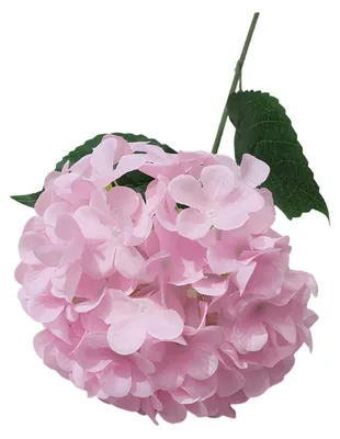 Produktbild von Künstliche Hortensienblüte mit realistischer Haptik, 70 cm (27,5 Zoll), voluminös, aus Seide gefertigt, ideal für DIY-Brautsträuße und als Tischdekoration für den Frühling.