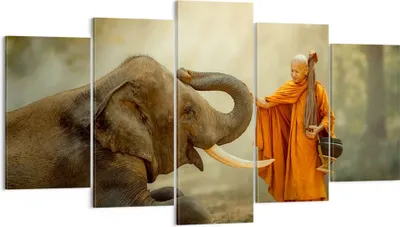 Produktbild von Bild auf Leinwand - Leinwandbild - Elefant Mönch Stoßzahn - 160x85cm - Wand Bild - Wanddeko - Leinwanddruck - Bilder - Kunstdruck - Wanddekoration - Leinwand bilder - Wandkunst - EA160x85-3484