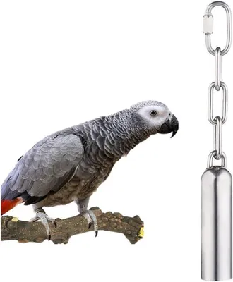 Produktbild von Vogelglocke aus Edelstahl für Papageien, Graupapageien, Zwergaras und kleine Kakadus (L)