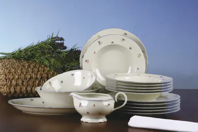 Produktbild von Seltmann Weiden Marie Luise Streublume Tafel Service 16-tlg.