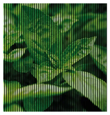 Produktbild von Akustikpaneele mit Digitaldruck Basilikum01 19 x 2253 x 2400 mm Basilikum MDF PET-Fasern Wandpaneele Grün Schwarz 4 Einzelplatten