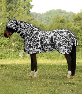Produktbild von Waldhausen Fliegendecke Zebra Fliegenschutz 105 cm