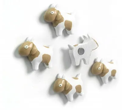Productafbeelding van Trendform Magnetische Geit - set van 5 verschillende