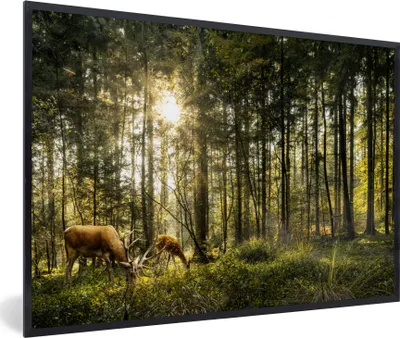 Produktbild von MuchoWow® MuchoWow® Gerahmtes Poster Hirsche - Natur - Wald 90x60 cm - Poster mit zchwarzem Bilderrahmen - Fotorahmen - Foto-Plakat