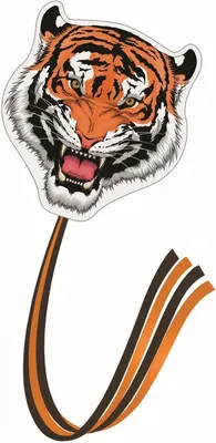 Produktbild von Drachen Tiger 70x74cm GÜNTHER 1153 Polyester