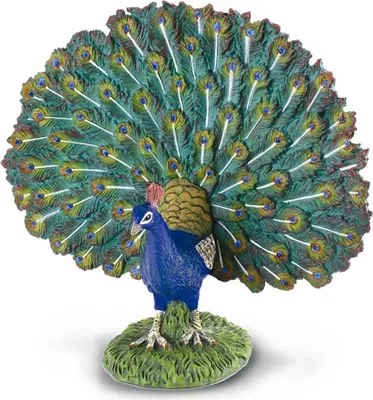 Immagine prodotto di COLLECTA Páv