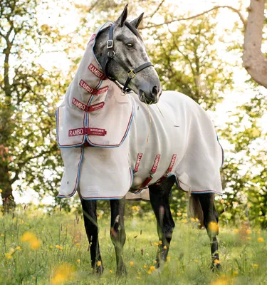 Produktbild von Horseware Rambo Protector Disc Front Oatmeal/Cherry, Peach & Blue, Horseware Deckengröße:140 cm / 6´3