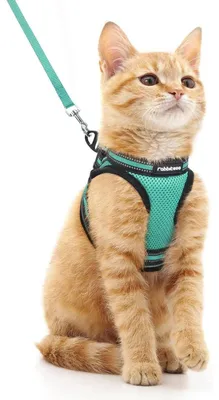 Produktbild von Katzengeschirr mit Leine, ausbruchsicher, verstellbar, weich, reflektierend, Grün, Größe M