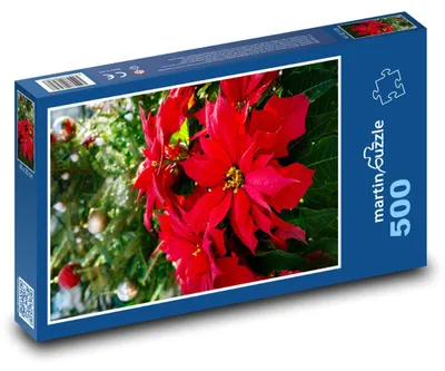 Zdjęcie produktu dla Puzzle 500 Gwiazda betlejemska - kwiat - martinpuzzle