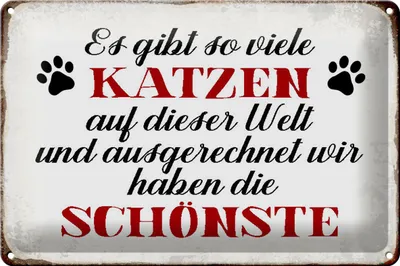 Produktbild von Blechschild Spruch 30x20cm wir haben die schönste Katze