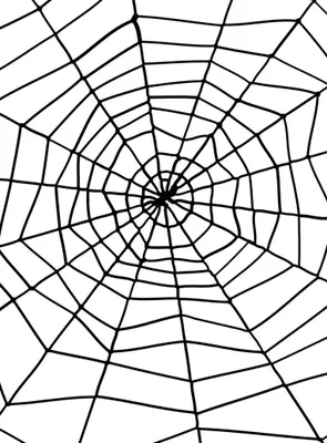 A black and white illustration of a spider web.