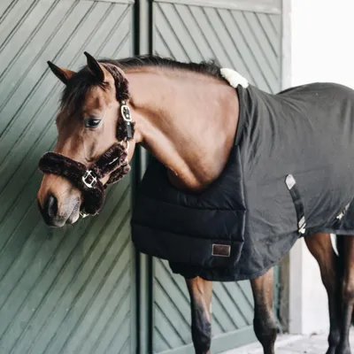 Produktbild von Kentucky Horsewear Brustschutz Horse BIB Sommer Deckeneinlage Schwarz