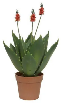 Produktbild von Kunstpflanze Agave Polyester grün H 60 cm Ø 42 cm