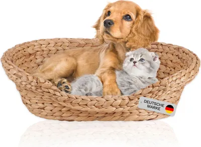 Produktbild von Lycce Katzenbett Hundebett für kleine Hunde Wasserhyazinthe | Kissen waschbar bei 30°C | leichter Einstieg | Betten, Decken & Möbel für Katzen, Größe:Größe 1