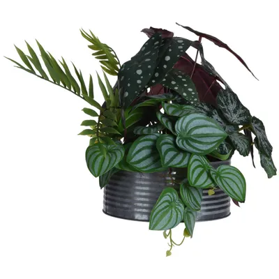 Obrázek produktu pro Umělá Begónie maculata, 28 cm