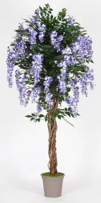 Produktbild von artplants.de Deko Blauregen ANNIARA, Echtstämme, mit Blüten, lila, 200cm - Italy - Kunst Blauregen