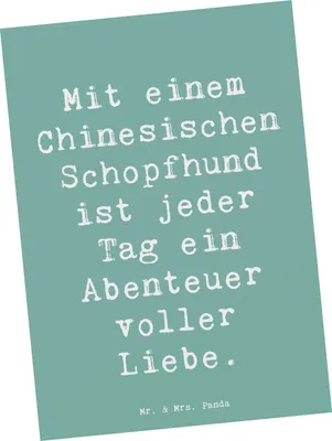 Produktbild von Mr. & Mrs. Panda Postkarte Spruch Chinesischer Schopfhund Abenteuer - Meeresbrise - Geschenk, bildkarte, Hunderassen Charakter, sozialeizierung Hunde, Hundeliebhaber