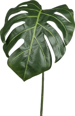 Produktbild von GASPER Fensterblatt-Monstera Grün 78,8 cm - Kunstpflanzen