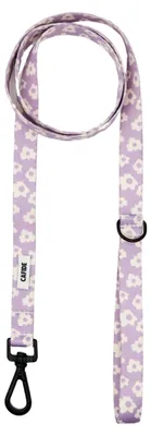 Produktbild von CAFIDE Juno Hundeleine Violett, 1,2 m, robust, für Hunde