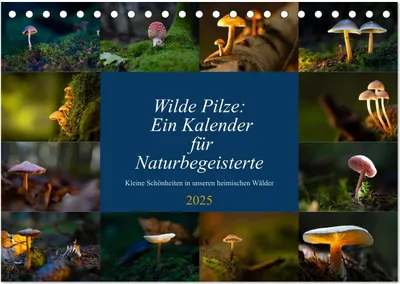Produktbild von Wilde Pilze: Ein Kalender für Naturbegeisterte (Tischkalender 2025 DIN A5 quer), CALVENDO Monatskalender