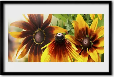 Produktbild von Bild 60x40 MDF-Rahmen Wandkunst Blumen Pflanzen