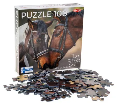 Immagine prodotto di Cavalli innamorati di Legpuzzel, 100°.