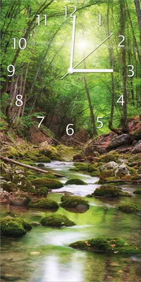 Produktbild von Wallario Design Wanduhr Fluss im Wald aus Echtglas, Größe 30 x 60 cm