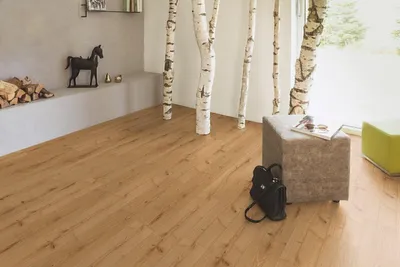 Produktbild von Kaindl Laminatboden Eiche Severina