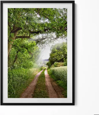 Produktbild von Weg, Bäume und Sonnenschein– Wandbild mit Rahmen – Gerahmtes Bild  – Wanddekoration – 70x100 cm –  Schwarz Rahmen