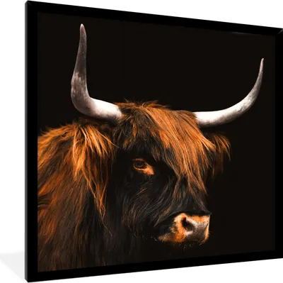 Produktbild von MuchoWow® Gerahmtes Poster Schottischer Highlander - Kuh - Schwarz 40x40 cm - Poster mit Schwarzem Bilderrahmen Wandposter Rahmen Foto Bilder - Mit Rahmen - Wanddekoration Schlafzimmer