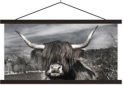Produktbild von MuchoWow® Textilposter Schottisches Hochlandrind - Tiere - Hörner 90x45 cm mit schwarzem Rahmen - Klemmleisten
