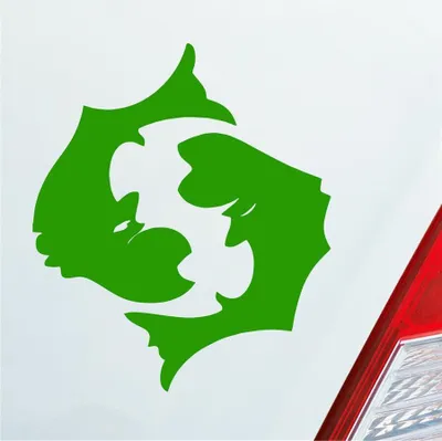 Produktbild von Auto Aufkleber Sternzeichen Fisch KFZ Roller 8,5x10 cm Hellgrün Sticker Heckscheibenaufkleber
