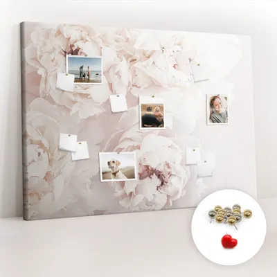 Obrázek produktu pro Korková nástěnka s kolíčky - Tabule s kolíky pro fotografie a poznámky - 140x100 cm - Připínáčky kovové 100 kusů - Květy pivoňky