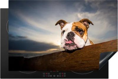 Produktbild von KitchenYeah© Herdabdeckplatte Englisch - Bulldogge - Luft , 81x52cm, Küche Deko, Glaskeramikkochfeld Herdabdeckung, Abdeckplatte fùr Kochfeld