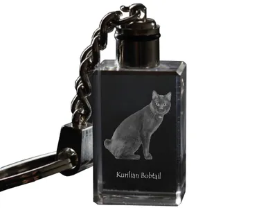 Imagen del producto de Kurilian bobtail llavero de cubo con gato Art-Dog