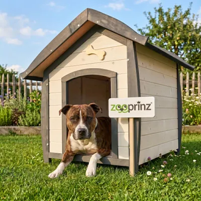 Produktbild von zooprinz Hundehütte Bella | M | mit dekorativem Hundeknochen | Wetterfest | 78x82x87cm (BxTxH)