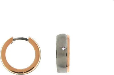 Produktbild von Boccia Titan Creolen Rosegold 0539-17
