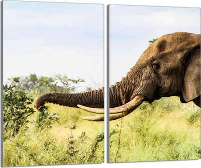 Produktbild von Glasschutzplatte für den Herd 2x30x52 Elefant