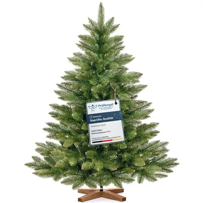 A green artificial Christmas tree with a wooden stand and a tag attached to one of its branches.
