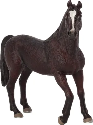 Produktbild von Legler Animal Planet Araberhengst Schwarz, Spielzeug, ab 3 Jahre, 387069