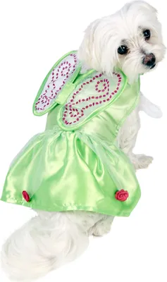 Produktbild von Tinkerbell Hundekostüm Hundegröße: XS