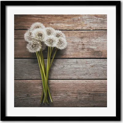 Produktbild von Bild - 50 cm x 50 cm - MDF - Rahmen, Wandkunst - Löwenzahnholz