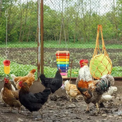 Produktbild von 5 Stück Hühnerspielzeug für Hühnerstall Zubehör - Regenbogen Schaukel für Hühner - Hühner Gemüse Spieß Hängender Futterspender - Hühner Spiegel mit Glöckchen - Hühner Xylofon