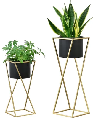 Two plant stands with black pots and plants, displayed on a white background.