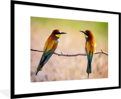 Produktbild von MuchoWow® Gerahmtes Poster Vögel - Bienenfresser - Tiere 90x60 cm - Poster mit Schwarzem Bilderrahmen Wandposter Rahmen Foto Bilder - Wanddekoration - Fotos