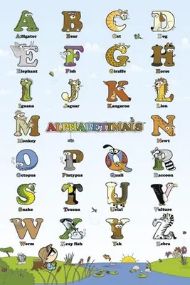 Immagine prodotto di Alphabetimals - 61x91,5 cm - Poster