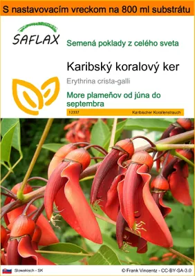 Obrázok produktu pre SAFLAX Garden in the bag - Karibský koralový ker - Erythrina crista-galli - 6 Semená - S pestovateľským substrátom v praktickom samostaviteľnom vrecku