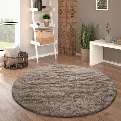 A round, shaggy rug is placed on a wooden floor in a living room setting, next to a ladder shelf and a plant.