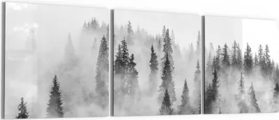 Produktbild von DEQORI Glasbild Echtglas 3x50x50 cm 'Flüsternde Tannen' Wandbilder XXL groß